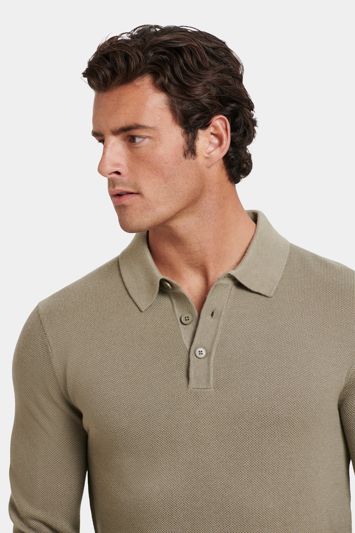 THE ARI POLO